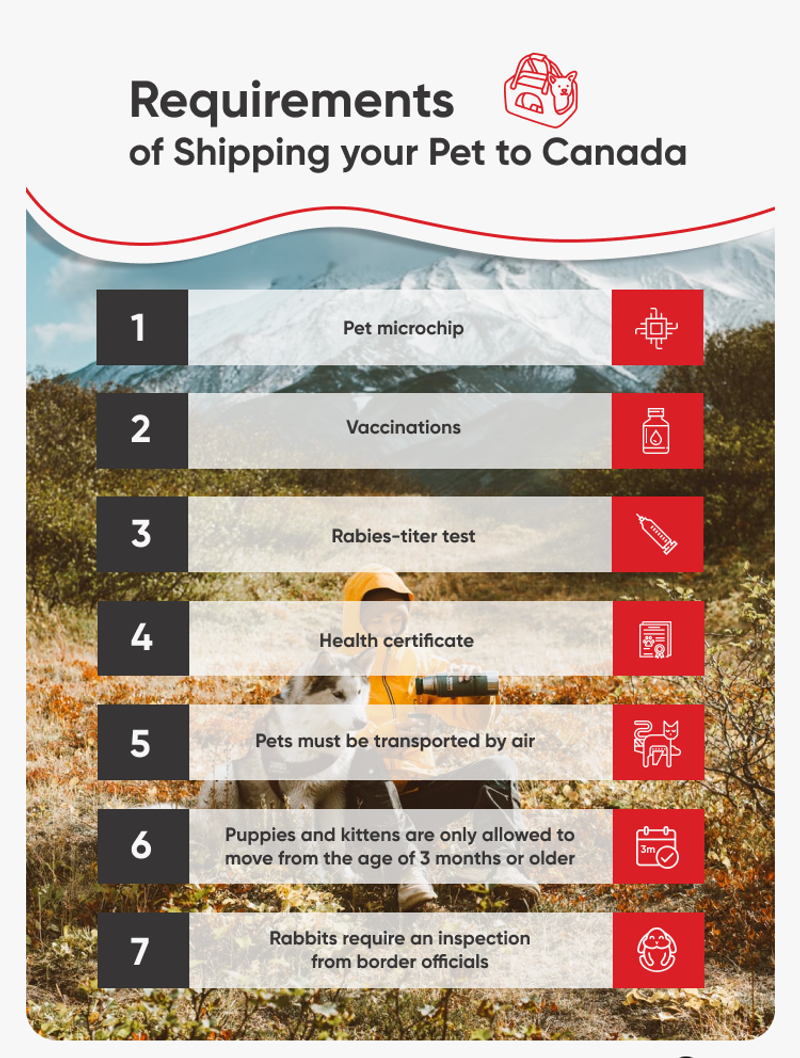 Moving Your Pets to Canada